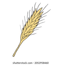 Esbozo de doodle dibujado a mano de vectores espátula de trigo de color aislado en fondo blanco