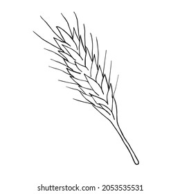 Vector hand drawn doodle sketch wheat spica isolated on white background