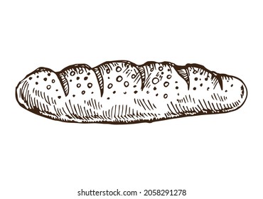 Vector hand drawn doodle sketch baguette bread isolated on white background