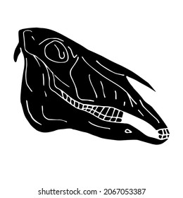 Vector hand drawn doodle sketch black horse skull isolated on white background
