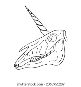 Vector hand drawn doodle sketch unicorn skull isolated on white background