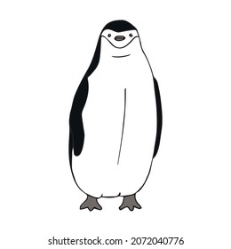 Vector hand drawn doodle sketch colored penguin isolated on white background
