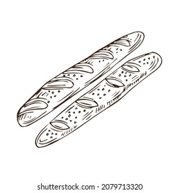Vector hand drawn doodle sketch baguette bread isolated on white background