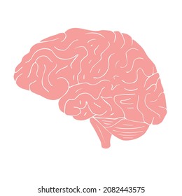 Vector hand drawn doodle sketch pink brain isolated on white background