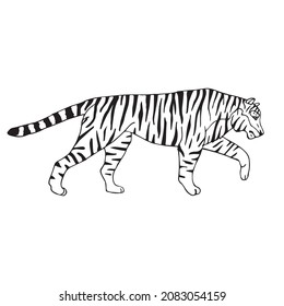 Vector hand drawn doodle sketch tiger isolated on white background