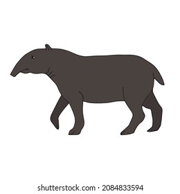 Vector hand drawn doodle sketch colored tapir isolated on white background