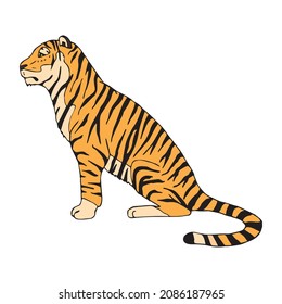 Vector hand drawn doodle sketch colored tiger isolated on white background