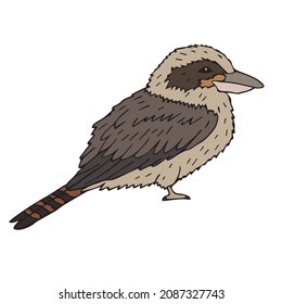 Esbozo de doodle dibujado a mano vectorial de color kookaburra pájaro aislado en fondo blanco