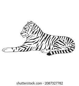 Vector hand drawn doodle sketch lying tiger isolated on white background