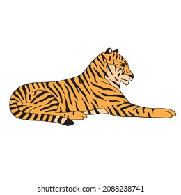 Dibujo del doodle dibujado a mano del vector tigre tendido de color aislado en fondo blanco
