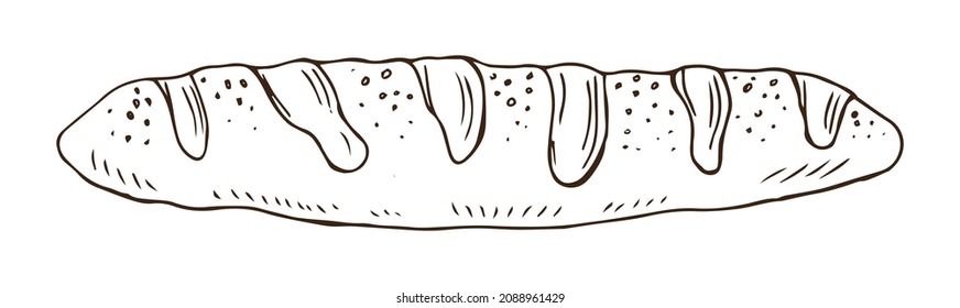 Vector Hand Drawn Doodle Sketch Baguette Bread Isolated On White Background