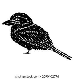 Esbozo de doodle dibujado a mano vectorial pájaro kookaburra negro aislado en fondo blanco