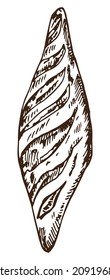 Pan de baguette de boceto dibujado a mano aislado en fondo blanco