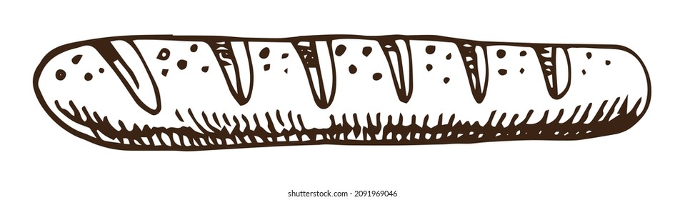 Vector hand drawn doodle sketch baguette bread isolated on white background