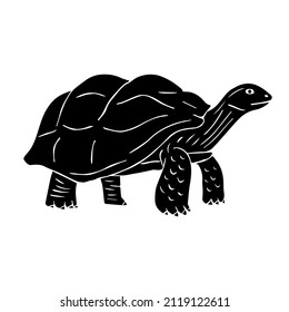 Vector hand drawn doodle sketch black turtle isolated on white background