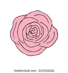 Vector hand drawn doodle sketch colored rose flower isolated on white background
