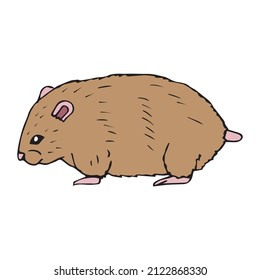 Vector hand drawn doodle sketch colored hamster isolated on white background