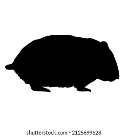 Vector Hand Drawn Doodle Sketch Hamster Silhouette Isolated On White Background