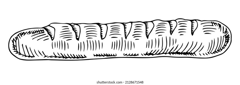 Vector hand drawn doodle sketch baguette bread isolated on white background