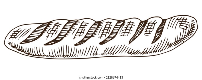 Vector hand drawn doodle sketch baguette bread isolated on white background