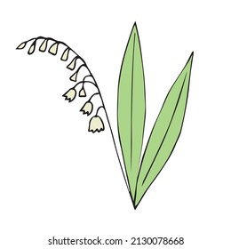 Vector hand drawn doodle sketch colored lily of the valley flower isolated on white background