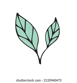 Vector hand drawn doodle sketch colored leaves isolated on white background