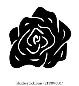 Dibujo de doodle dibujado a mano de vectores flor rosa negra aislada en fondo blanco