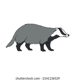 Vector hand drawn doodle sketch colored badger isolated on white background