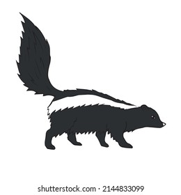 Vector hand drawn doodle sketch colored skunk isolated on white background