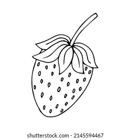 Vector hand drawn doodle sketch strawberry isolated on white background