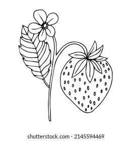 Image vectorielle dessinée à la main croquis sur fond blanc