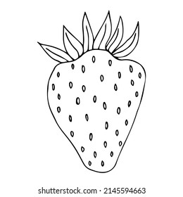 Vector hand drawn doodle sketch strawberry isolated on white background