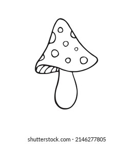 Vector hand drawn doodle sketch fly agaric mushroom isolated on white background