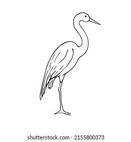 Vector hand drawn doodle sketch heron isolated on white background