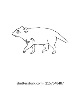 Vector hand drawn doodle sketch Tasmanian devil isolated on white background