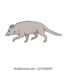 Vector hand drawn doodle sketch colored opossum isolated on white background