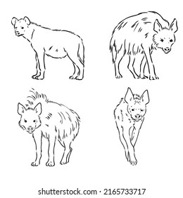Vector hand drawn doodle sketch hyena isolated on white background