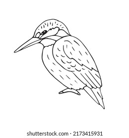 Esbozo de doodle dibujado a mano vector kingfisher aislado en fondo blanco