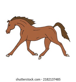Vector hand drawn doodle sketch colored Arabian horse isolated on white background