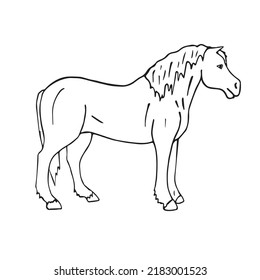 Vector Hand Drawn Doodle Sketch Draft Horse Isolated On White Background