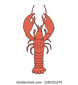 Vector hand drawn doodle sketch colored lobster isolated on white background