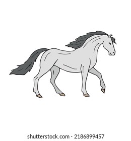 Vector hand drawn doodle sketch colored pre spanish horse isolated on white background