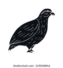 Vector Hand Drawn Doodle Sketch Black Partridge Bird Isolated On White Background