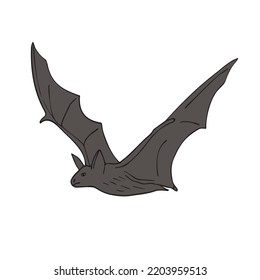 Vector hand drawn doodle sketch colored bat isolated on white background