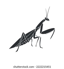 Vector hand drawn doodle sketch black mantis isolated on white background