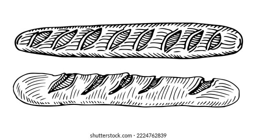 Vector hand drawn doodle sketch baguette bread isolated on white background