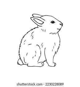 Vector hand drawn doodle sketch bunny rabbit isolated on white background