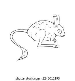 Vector hand drawn doodle sketch Jerboa isolated on white background