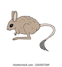 Vector hand drawn doodle sketch colored Jerboa isolated on white background