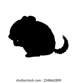 Vector hand drawn doodle sketch chinchilla silhouette isolated on white background